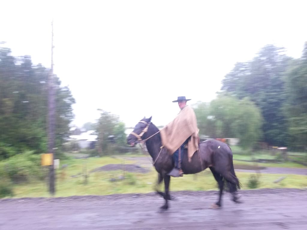 Ein Mann auf einem Pferd in Patagonien / Chile